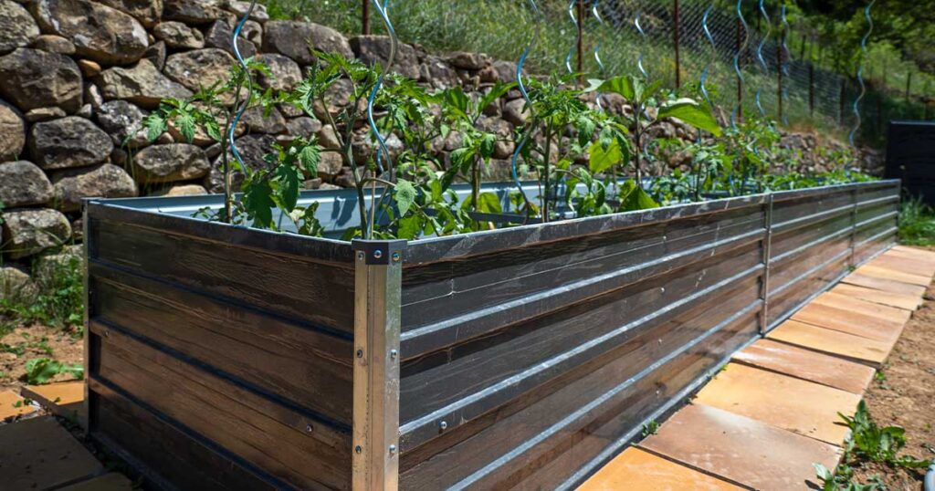 Vyvýšený záhon z kovu v záhrade – moderná konštrukcia vhodná na pestovanie zeleniny a byliniek