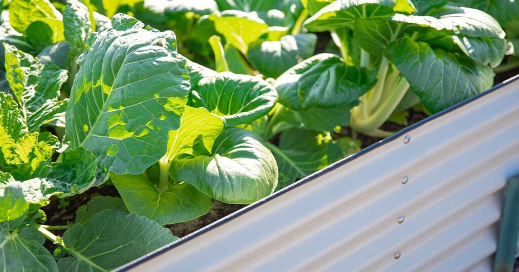  Spojené plechové panely do tvaru rámu vyvýšeného záhonu 